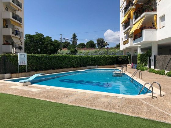 Foto 1 de Estudio en alquiler en Vallpineda - Santa Bàrbara con piscina y jardín