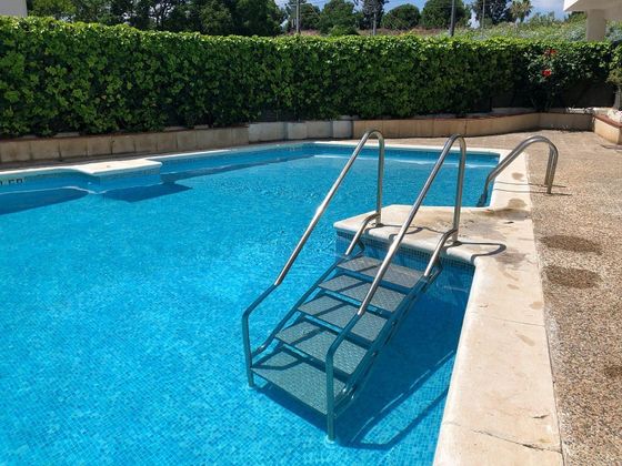 Foto 2 de Estudio en alquiler en Vallpineda - Santa Bàrbara con piscina y jardín