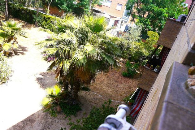 Foto 2 de Pis en venda a Altamira - Canaletes de 4 habitacions amb terrassa i balcó