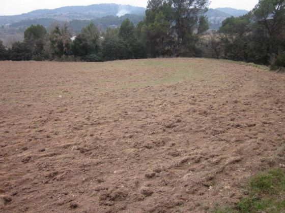 Foto 2 de Venta de terreno en Gaià de 10000 m²