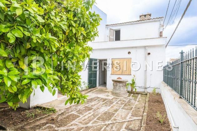 Foto 1 de Xalet en venda a Petra de 2 habitacions amb terrassa i jardí