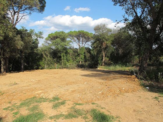 Foto 1 de Venta de terreno en Montilivi - Palau de 800 m²