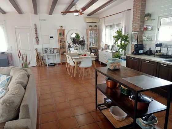 Foto 2 de Chalet en venta en Palma de Gandía de 3 habitaciones con piscina y jardín