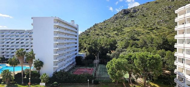 Foto 1 de Piso en venta en Port d'Alcúdia - Platja d'Alcúdia de 1 habitación con piscina y jardín