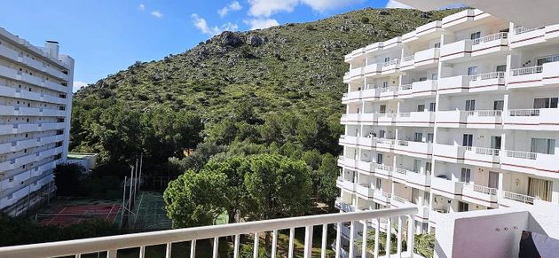 Foto 2 de Pis en venda a Port d'Alcúdia - Platja d'Alcúdia de 1 habitació amb piscina i jardí