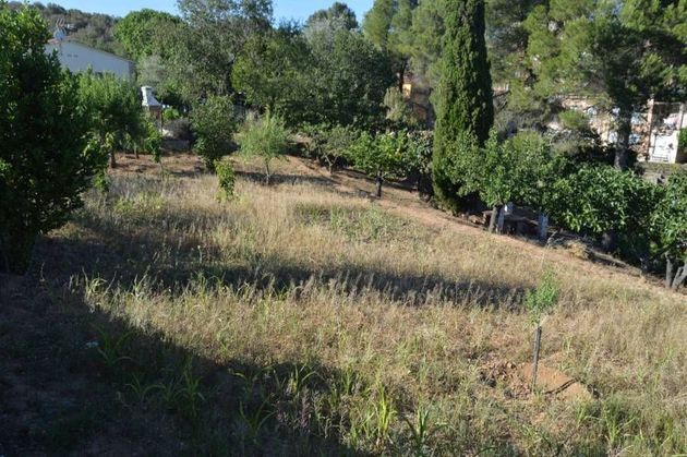 Foto 2 de Venta de terreno en Sant Esteve Sesrovires de 670 m²