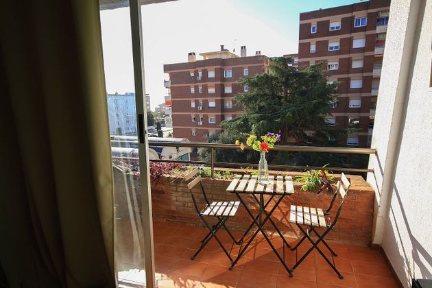 Foto 2 de Venta de estudio en calle Sant Jaume con balcón y ascensor