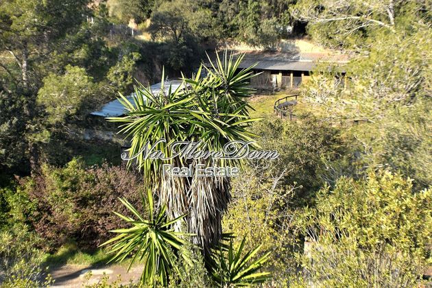 Foto 2 de Xalet en venda a calle Eucaliptus de 10 habitacions amb terrassa i jardí