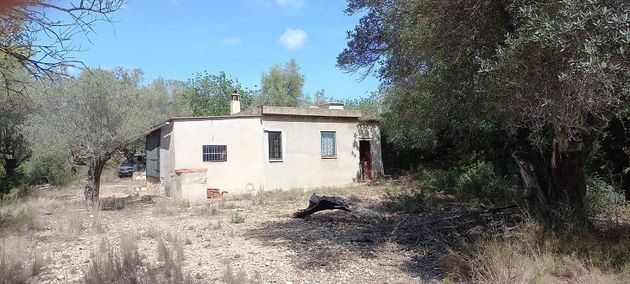 Foto 2 de Casa rural en venta en Perelló, el (Tar) de 2 habitaciones y 50 m²