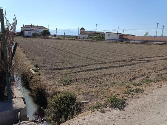Foto 2 de Venta de terreno en calle Paraje El Molino de 3800 m²