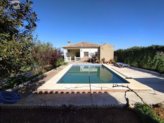 Foto 1 de Casa rural en venda a Arcos de la Frontera de 2 habitacions amb terrassa i piscina