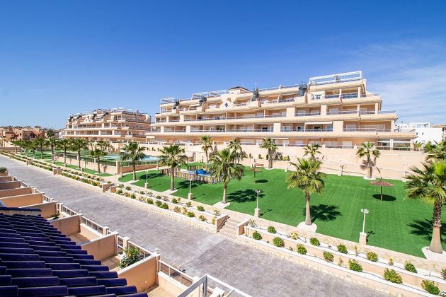 Foto 2 de Pis en venda a Playa Flamenca - Punta Prima de 2 habitacions amb terrassa i piscina