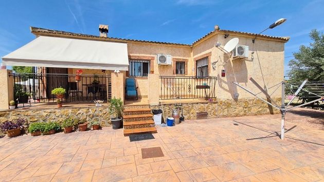 Foto 1 de Venta de chalet en Almoradí de 4 habitaciones con terraza y piscina