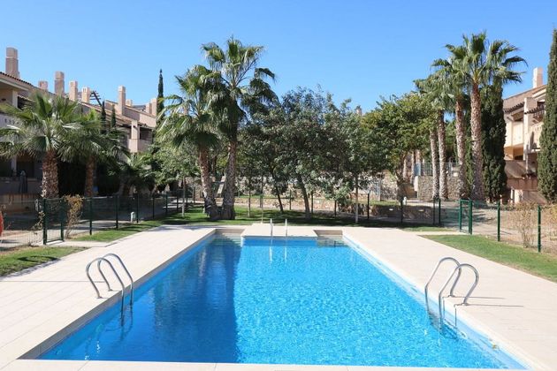 Foto 1 de Pis en venda a Fuente Alamo de 3 habitacions amb terrassa i piscina