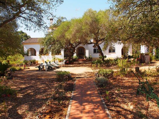 Foto 1 de Casa rural en venda a calle Arcos de la Frontera de 7 habitacions amb terrassa i piscina