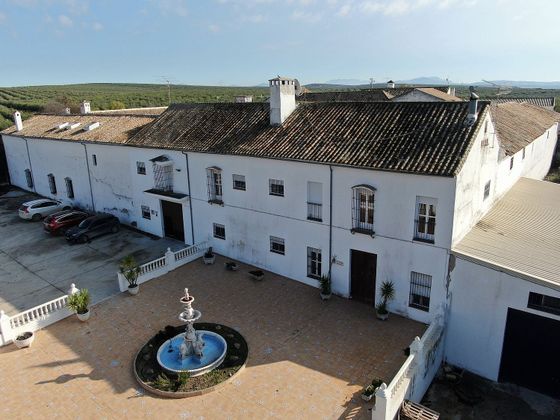 Foto 2 de Venta de casa rural en calle Aguilar de la Frontera de 9 habitaciones con terraza y piscina