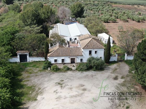 Foto 2 de Venta de casa rural en carretera La Puebla de Cazalla Marchena Km de 3 habitaciones con terraza y piscina