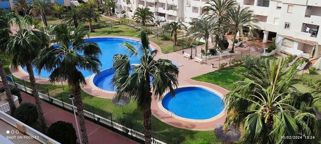 Foto 1 de Pis en venda a calle Puerto Deportivo Tomas Maestre de 1 habitació amb terrassa i piscina