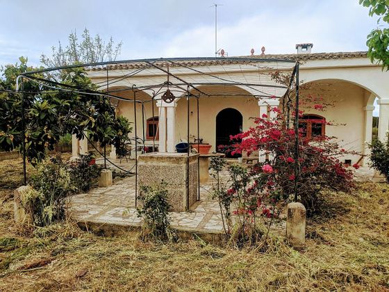 Foto 2 de Casa en venda a calle Diseminado Diseminados Var de 4 habitacions amb terrassa i piscina