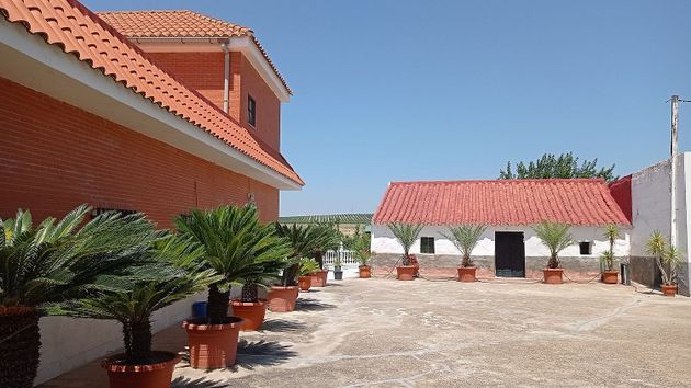 Foto 2 de Venta de chalet en calle Manuel Quesada de 11 habitaciones con terraza y piscina