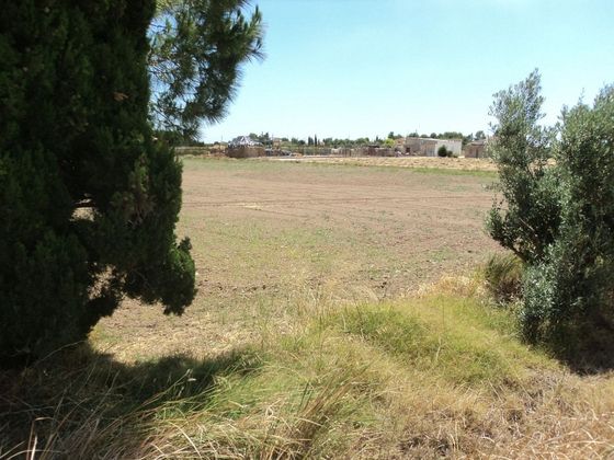 Foto 1 de Venta de terreno en Callosa de Segura de 46816 m²