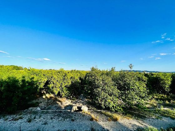 Foto 2 de Venta de terreno en Almoradí de 13000 m²