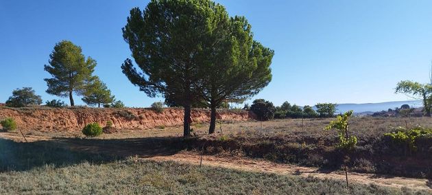 Foto 2 de Venta de terreno en Arcas del Villar de 2792 m²