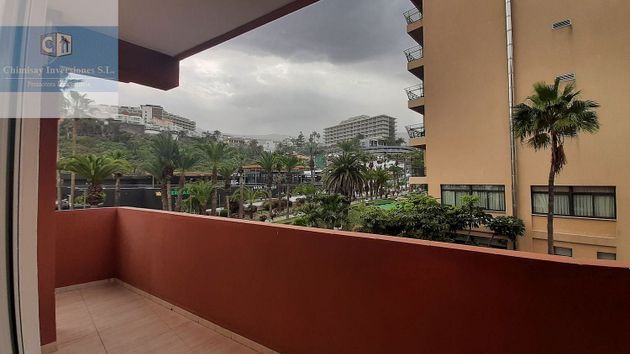 Foto 2 de Venta de piso en Zona Botánico de 1 habitación con terraza y piscina