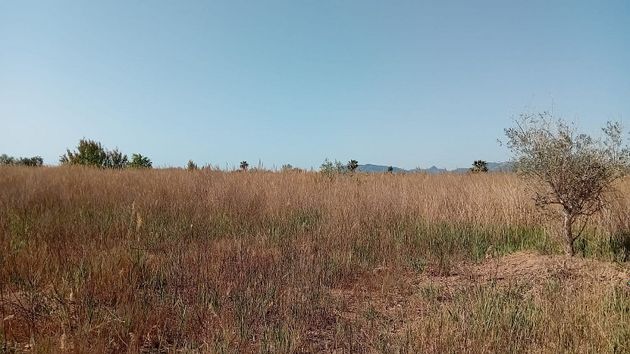 Foto 2 de Venta de terreno en Torreblanca de 3824 m²