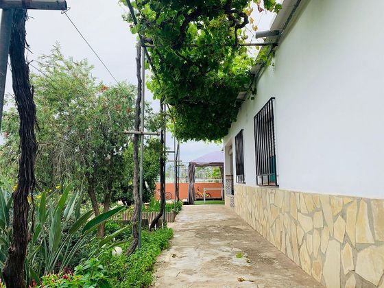 Foto 1 de Casa rural en venda a Oliva Nova de 4 habitacions amb terrassa i jardí