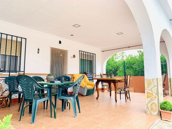 Foto 2 de Casa rural en venda a Oliva Nova de 4 habitacions amb terrassa i jardí