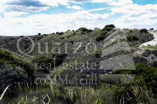 Foto 1 de Venta de terreno en Morata de Tajuña de 12772 m²