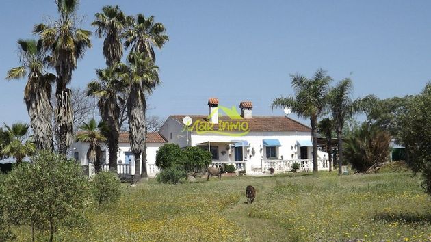 Foto 1 de Casa rural en venda a Gibraleón de 4 habitacions amb terrassa i jardí