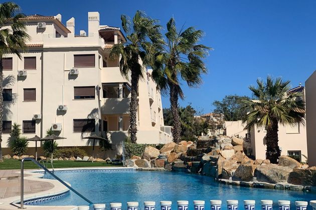 Foto 1 de Pis en venda a avenida Ramblas de Oleza de 3 habitacions amb terrassa i piscina