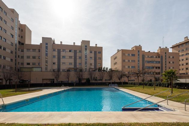 Foto 2 de Piso en venta en Campus de la Salud de 3 habitaciones con terraza y piscina