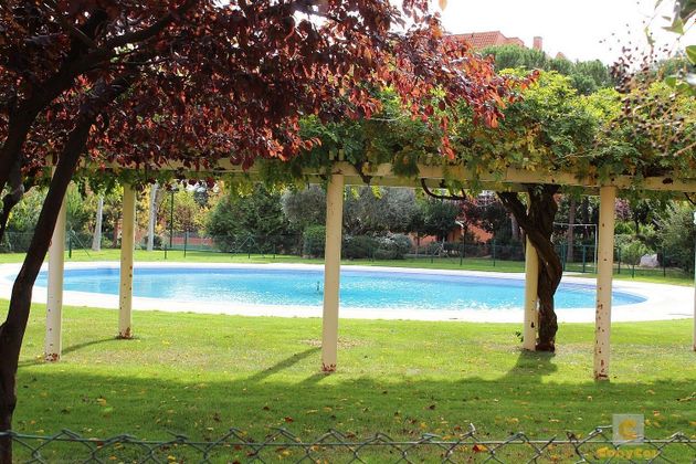 Foto 2 de Pis en venda a Piovera - Conde Orgaz de 2 habitacions amb piscina i garatge