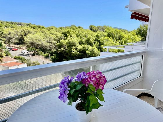Foto 1 de Estudio en alquiler en Costa de la Calma con terraza y jardín