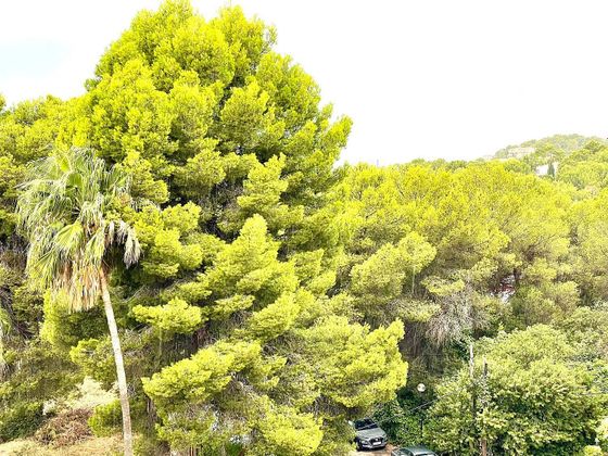 Foto 1 de Pis en venda a Costa de la Calma de 1 habitació amb terrassa i jardí