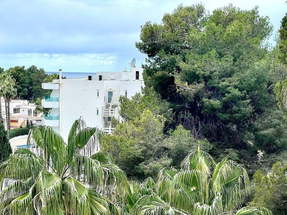 Foto 1 de Pis en venda a Costa de la Calma de 1 habitació amb terrassa i jardí
