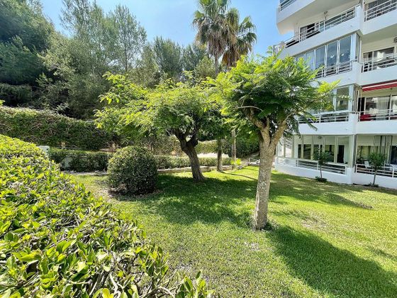 Foto 2 de Pis en venda a Costa de la Calma de 1 habitació amb terrassa i jardí
