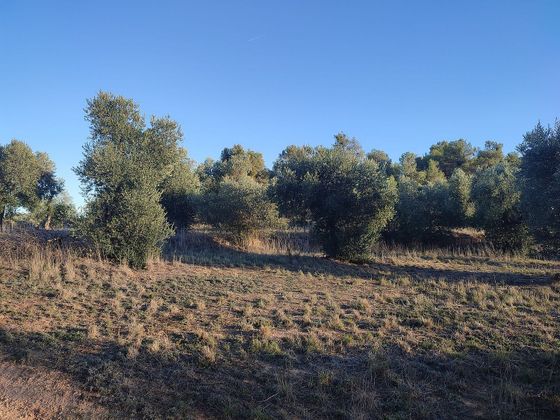 Foto 1 de Venta de terreno en Cervià de les Garrigues de 344940 m²