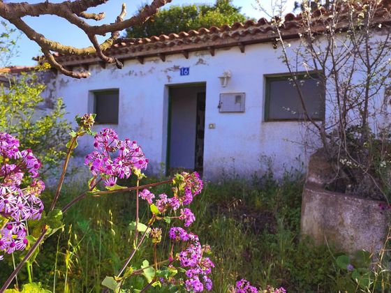 Foto 1 de Casa rural en venda a Moya de 2 habitacions amb terrassa i jardí