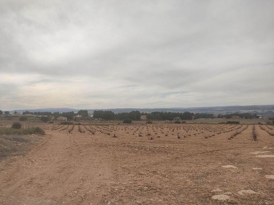 Foto 1 de Venta de terreno en Almansa de 26000 m²