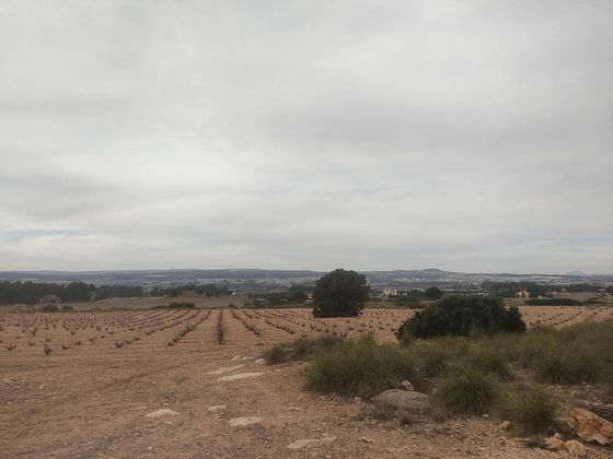 Foto 2 de Venta de terreno en Almansa de 26000 m²