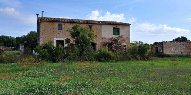 Foto 2 de Casa rural en venta en Sant Jordi - Son Ferriol de 7 habitaciones y 1200 m²