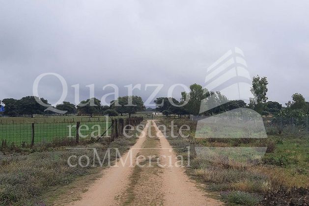 Foto 1 de Venta de terreno en Pepino de 35012 m²