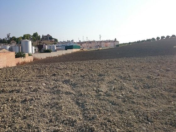 Foto 1 de Venta de terreno en Bujalance de 4889 m²