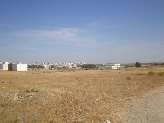 Foto 2 de Venta de terreno en Cabezas de San Juan (Las) de 20383 m²