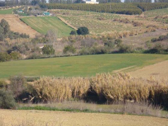 Foto 1 de Venta de terreno en Villarrasa de 11067 m²