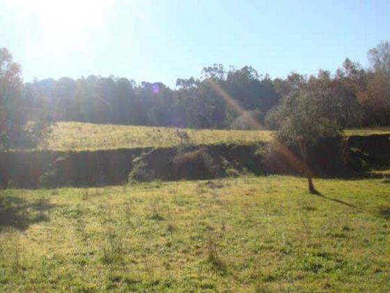 Foto 2 de Venta de terreno en Villarrasa de 11864 m²